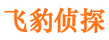 武山私家侦探